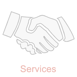 Our services